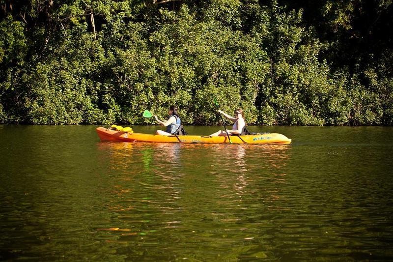 Ancient River Kayak - Secret Falls Tour